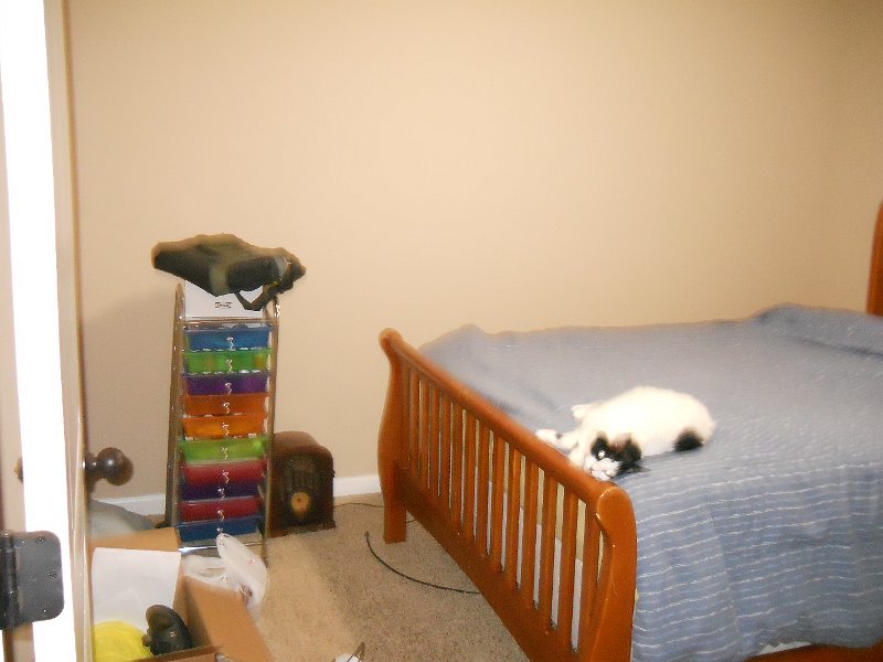 Tims Room 1